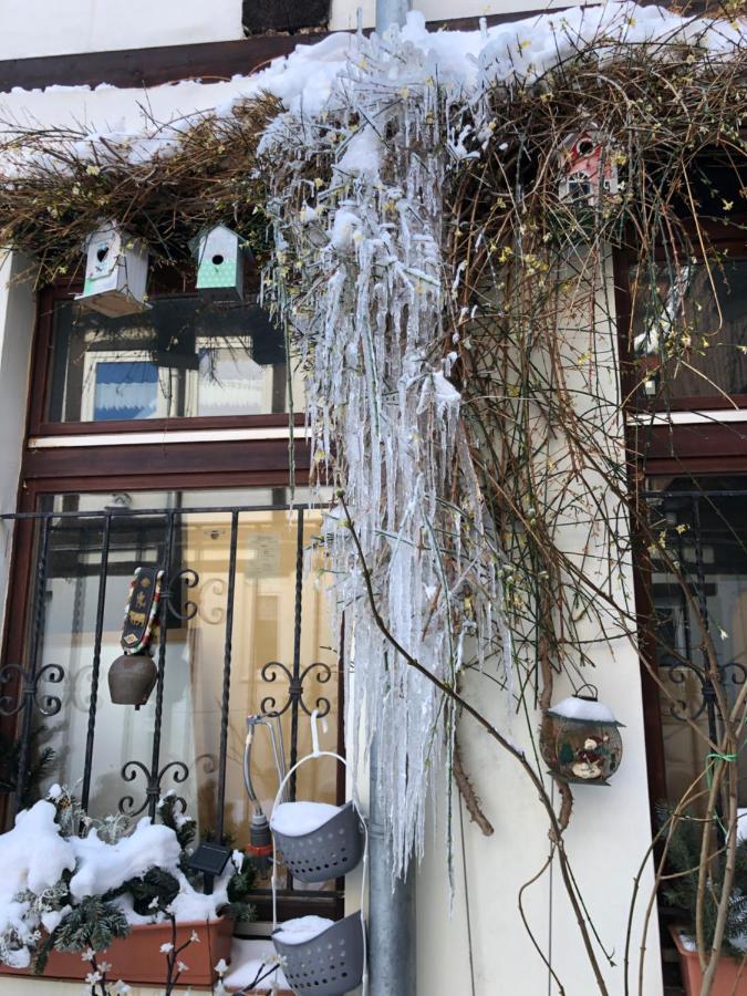 クヴェードリンブルクAm Mathildenbrunnen Grossアパートメント エクステリア 写真